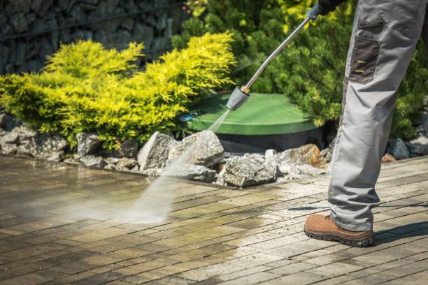 Best Window and Screen Pressure Cleaning in Brownfield, TX